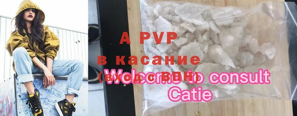 индика Дмитров