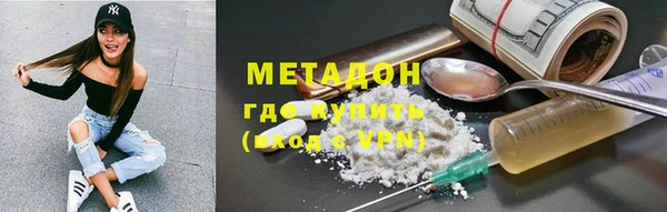 индика Дмитров