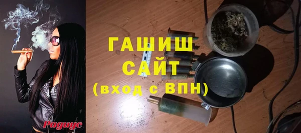 индика Дмитров