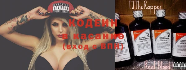 индика Дмитров