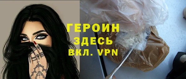 индика Дмитров