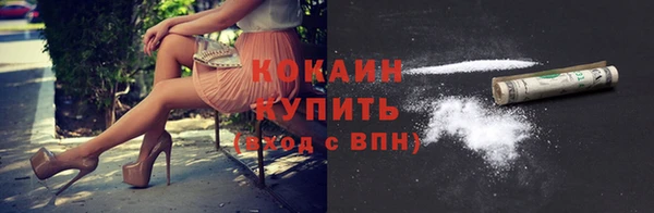 индика Дмитров