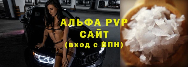 индика Дмитров