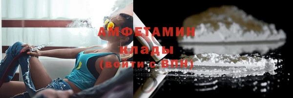 индика Дмитров