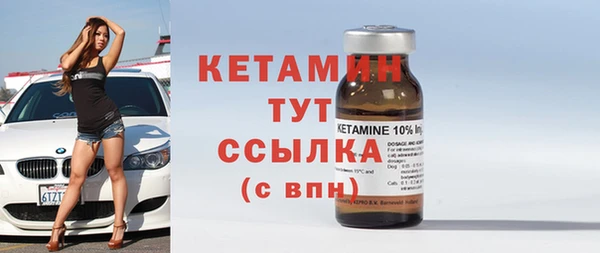 индика Дмитров