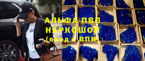 индика Дмитров