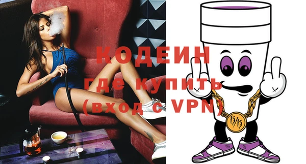 индика Дмитров