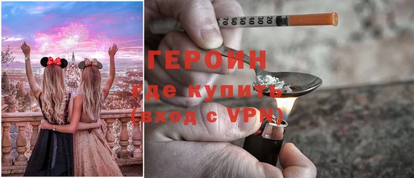 индика Дмитров