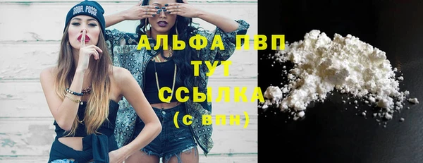 индика Дмитров