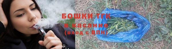 индика Дмитров