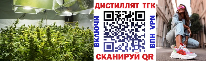 ТГК вейп с тгк  Купить закладки  Петухово 