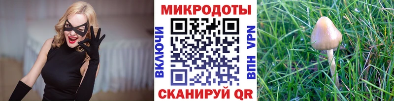 Галлюциногенные грибы Psilocybine cubensis  Купить  Петухово 